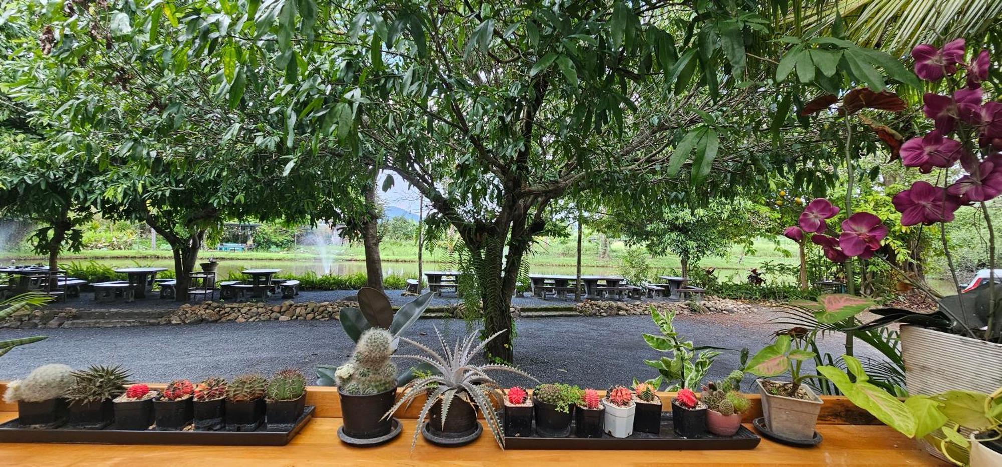 Homdoiintr Farmstay ฮ่อมดอยอินทร์ ฟาร์มสเตย์ Ban Huai Kaeo Екстер'єр фото
