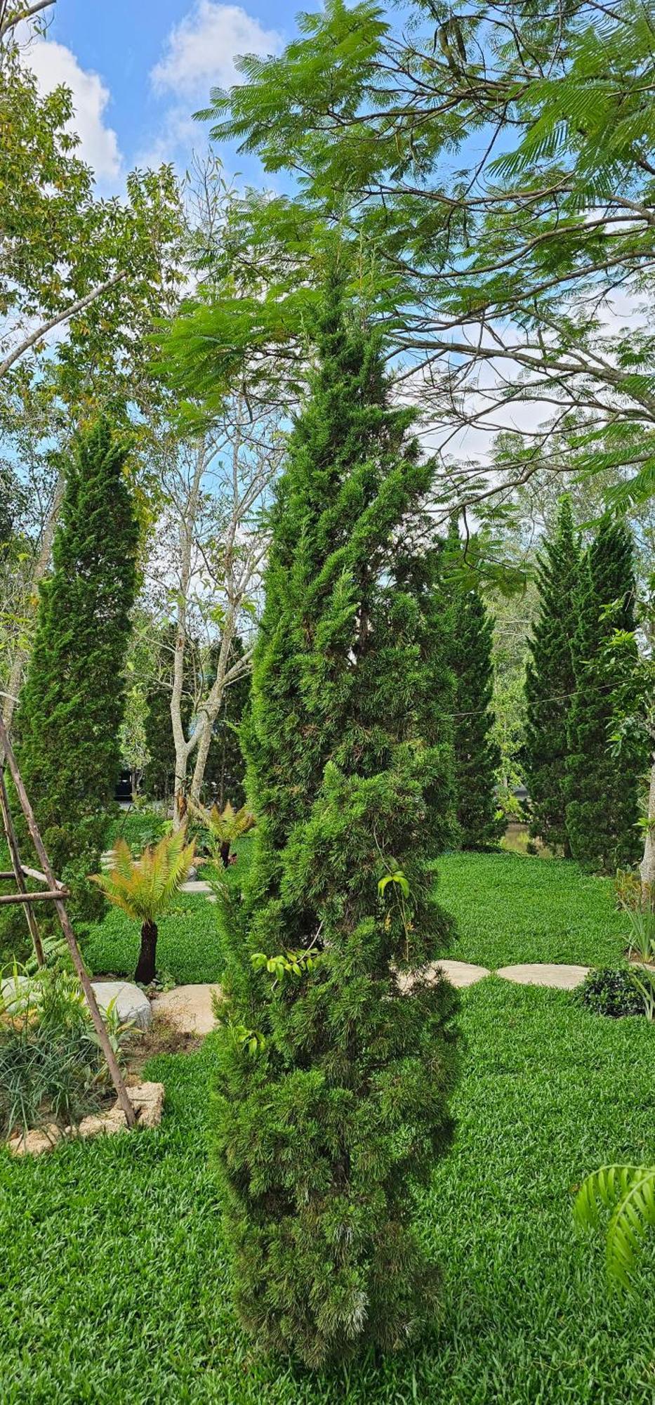 Homdoiintr Farmstay ฮ่อมดอยอินทร์ ฟาร์มสเตย์ Ban Huai Kaeo Екстер'єр фото