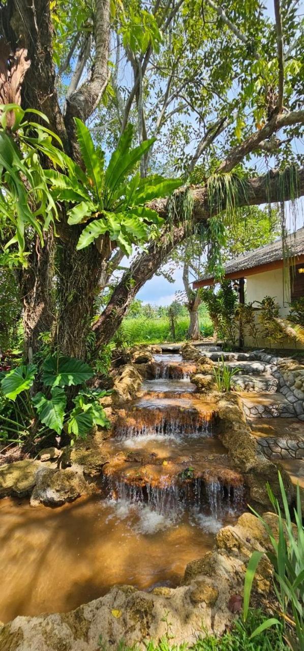 Homdoiintr Farmstay ฮ่อมดอยอินทร์ ฟาร์มสเตย์ Ban Huai Kaeo Екстер'єр фото
