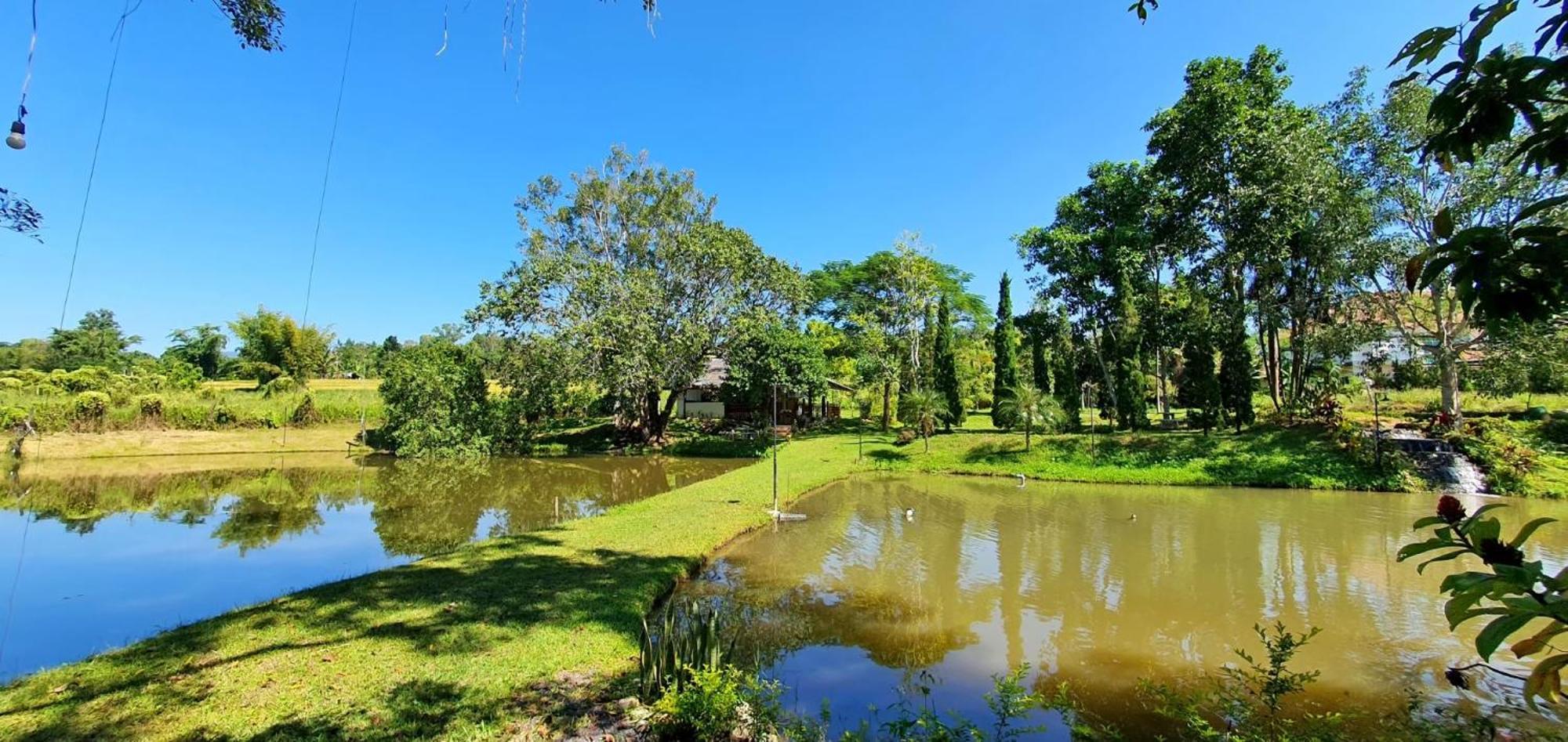 Homdoiintr Farmstay ฮ่อมดอยอินทร์ ฟาร์มสเตย์ Ban Huai Kaeo Екстер'єр фото